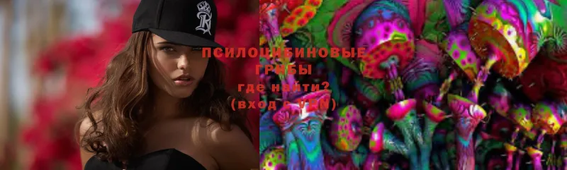 hydra ССЫЛКА  Заволжск  Галлюциногенные грибы MAGIC MUSHROOMS 